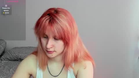 Snapshot of choco_meowx chatting on 05-06-26, 08:41 choco_meowx online show from 05-06-26, 08:41