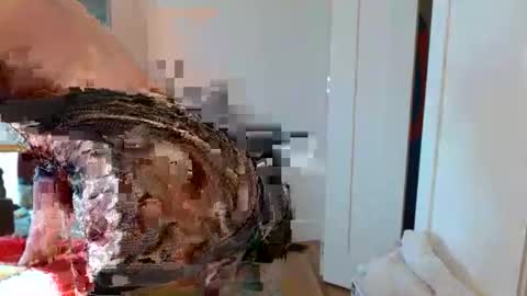 christophe_throbin online show from 01-31-26, 10:52