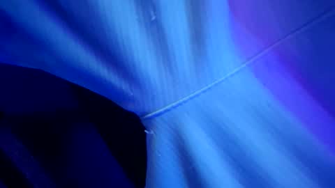 chronicvibez online show from 03-01-26, 12:56