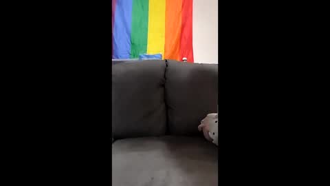 Snapshot of chubby_trans_gainer chatting on 03-20-26, 03:39 ChubbyTransGainer online show from 03-20-26, 03:39