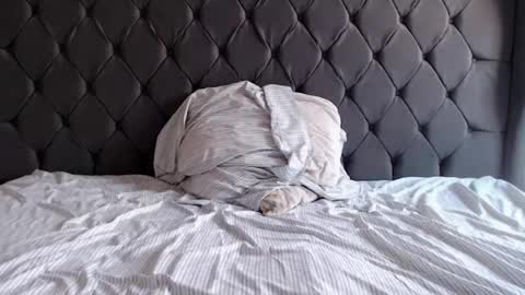 chubbydays online show from 04-03-26, 07:34