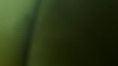 chuckyschick69 online show from 12-03-25, 04:53