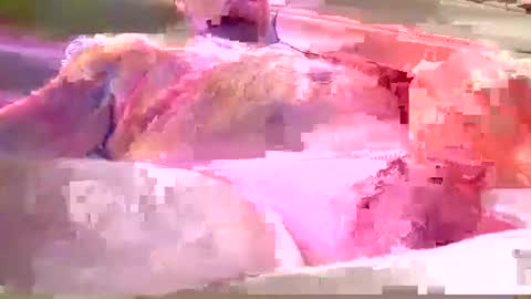 chummy50222 online show from 12-08-24, 04:14