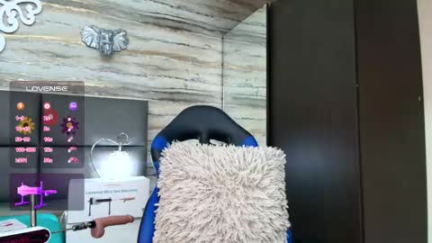 ...   ... online show from 01-26-25, 10:12