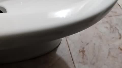 ciccilli online show from 10-08-25, 08:17