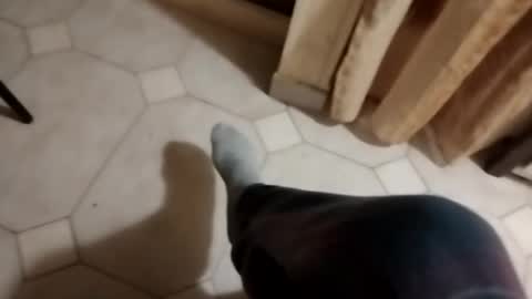 ciccilli online show from 10-16-25, 09:49