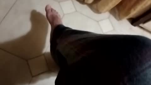 ciccilli online show from 11-04-25, 10:31