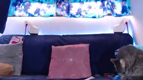 cicimom online show from 02-05-25, 05:20