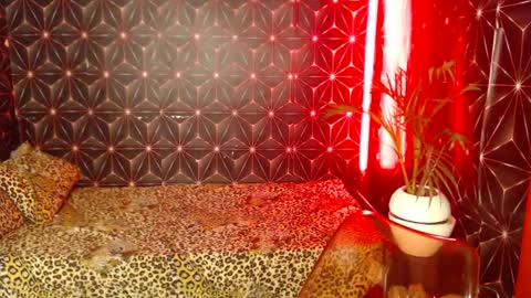 Cindy online show from 12-28-24, 10:13