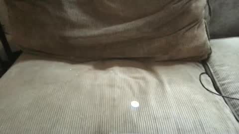 Snapshot of circumsizedbandit chatting on 03-29-26, 03:12 circumsizedbandit online show from 03-29-26, 03:12