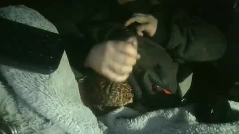 cisalo2501 online show from 02-07-26, 06:50