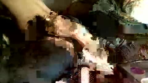 dan online show from 03-05-25, 04:13