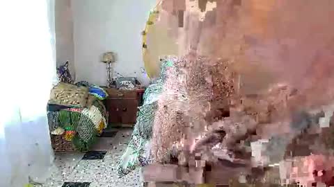 cmapetitebite online show from 02-07-26, 12:09