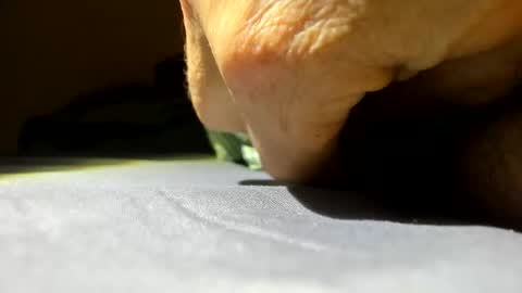 Snapshot of cmen420 chatting on 01-10-26, 02:52 cmen420 online show from 01-10-26, 02:52