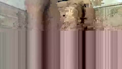 Snapshot of cockdoc4444 chatting on 10-15-25, 05:40 cockdoc4444 online show from 10-15-25, 05:40