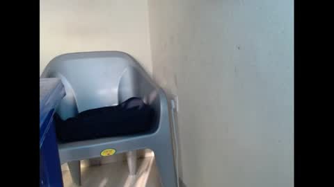 cockfanx online show from 01-26-25, 07:42