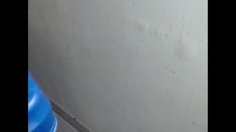 cockfanx online show from 02-21-25, 01:55