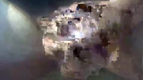 cocktoys online show from 10-30-25, 08:49