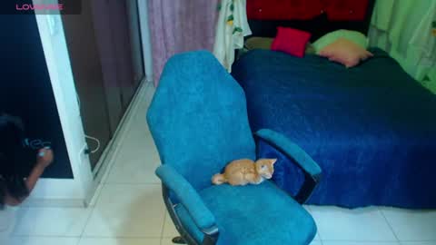 coco_macr online show from 07-05-26, 04:30