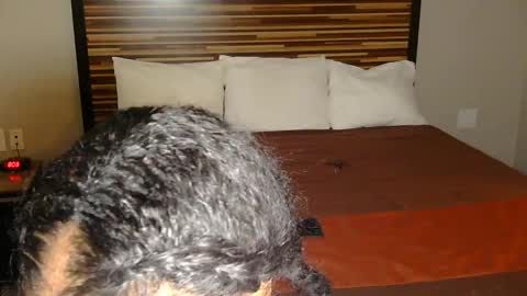 Snapshot of cocochanel197941 chatting on 03-02-26, 09:10 chanel online show from 03-02-26, 09:10