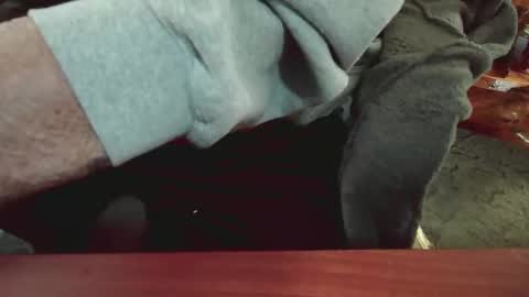 cody81421 online show from 01-15-25, 05:47