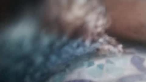 Snapshot of cojroymnamqm chatting on 11-07-25, 05:13 cojroymnamqm online show from 11-07-25, 05:13