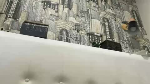 colambus83 online show from 03-08-26, 02:21