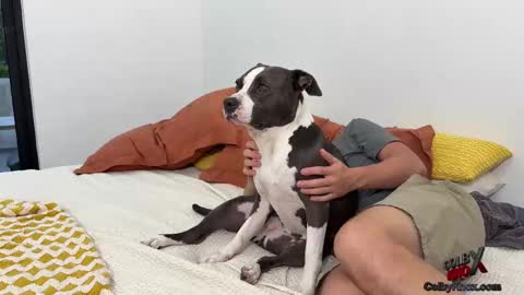 colbyknox online show from 11-04-25, 10:53