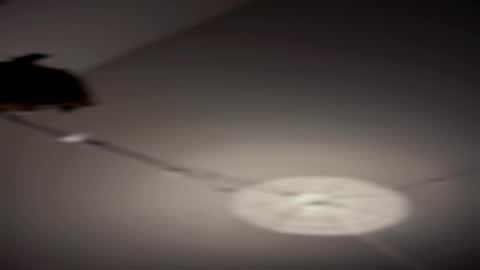 comefukme online show from 08-02-26, 11:52