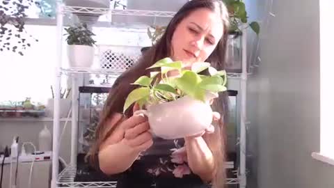 ANR Mommy online show from 10-04-25, 04:27