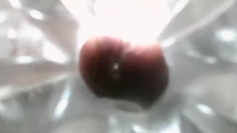 Snapshot of constructorcock chatting on 12-07-24, 10:17 bearded hairy pits big brown cock online show from 12-07-24, 10:17