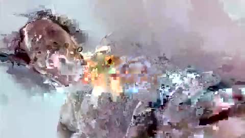 Mount N Drew online show from 11-17-25, 07:08