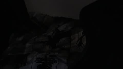 cooley77701 online show from 02-24-26, 09:18