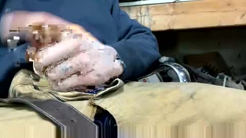 Snapshot of copart84 chatting on 12-28-24, 05:03 copart84 online show from 12-28-24, 05:03