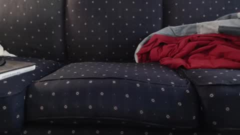 copper_crotch online show from 11-10-25, 12:09