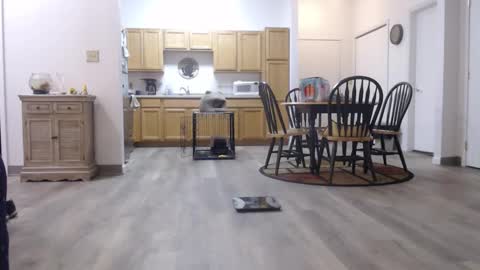 copper_crotch online show from 01-11-26, 01:43