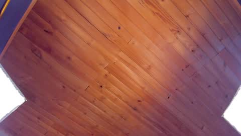 Coraline online show from 01-24-25, 01:45