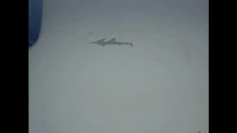 Snapshot of cornxcunt chatting on 02-17-26, 11:29 cornxcunt online show from 02-17-26, 11:29