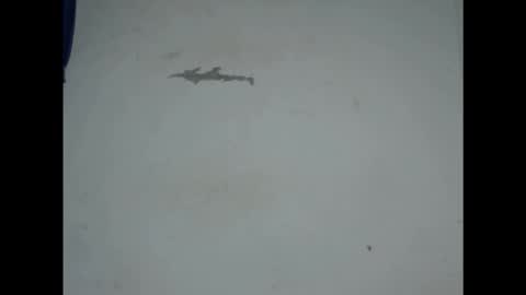 Snapshot of cornxcunt chatting on 02-18-26, 09:44 cornxcunt online show from 02-18-26, 09:44