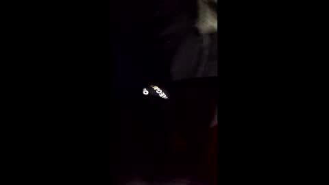 Snapshot of cory58596 chatting on 02-14-26, 08:33 cory58596 online show from 02-14-26, 08:33