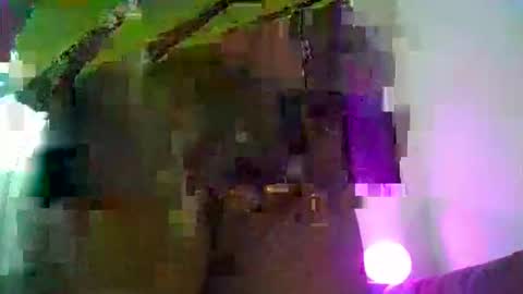 costybreed online show from 02-09-26, 05:44