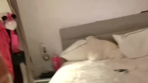 Sandra and Tom online show from 02-13-25, 06:48