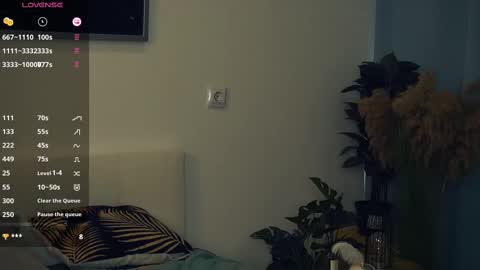 Yui online show from 02-22-25, 11:13