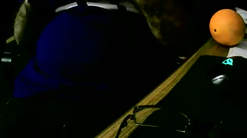 coyote017 online show from 02-19-25, 07:59