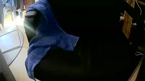 coyote017 online show from 10-04-25, 12:03