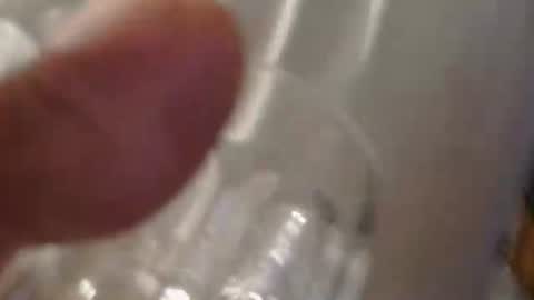 coyote017 online show from 05-10-26, 05:18