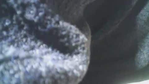 Snapshot of cplmature87 chatting on 02-20-25, 11:10 cplmature87 online show from 02-20-25, 11:10