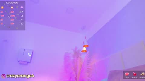 You can ask online show from 01-12-25, 04:40