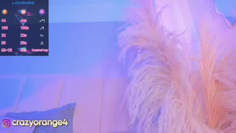 You can ask online show from 03-04-25, 01:17