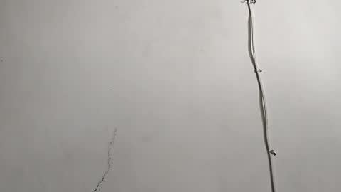 Snapshot of creamycocobabe chatting on 04-29-26, 08:04 CreamyCocoBabe online show from 04-29-26, 08:04